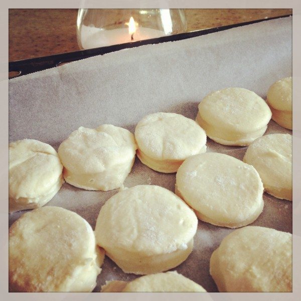 Laucke scones