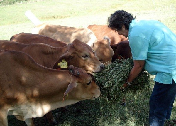 Hand feeding again