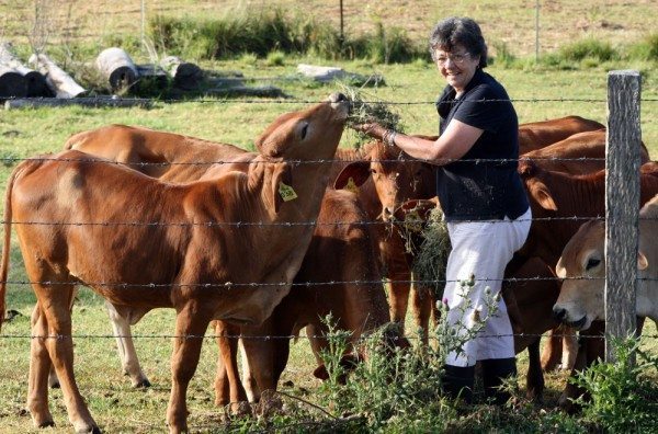 Bev hand feeding
