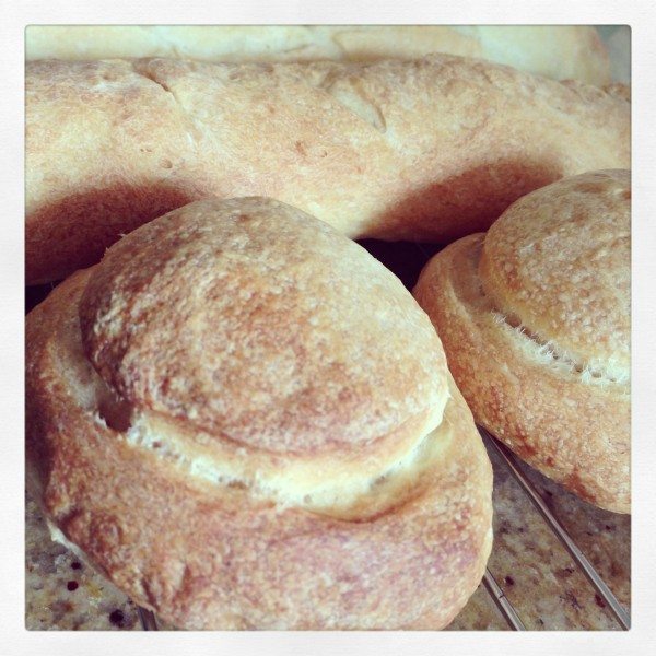 More sourdough experiments