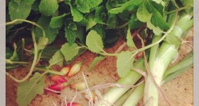 Harvest