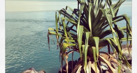 Beautiful Noosa