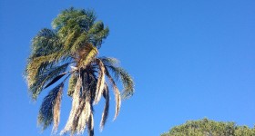 Blue skies